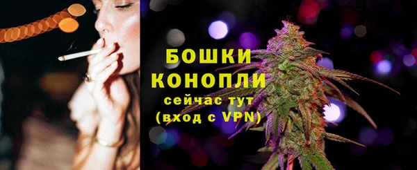 ГАЛЛЮЦИНОГЕННЫЕ ГРИБЫ Беломорск