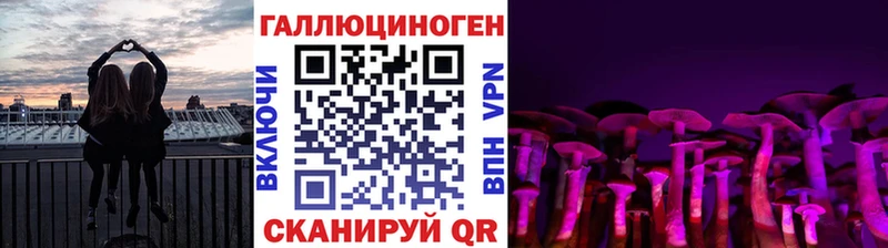 Псилоцибиновые грибы Psilocybe  наркотики  Верея 